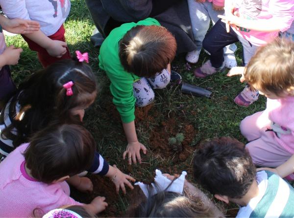 "Ağaçların Adları İstanbul " Projesiyle Fıstık Çamı Dikdik